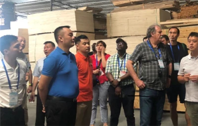 Mondiale hout- en houtproductenconferentie 2024